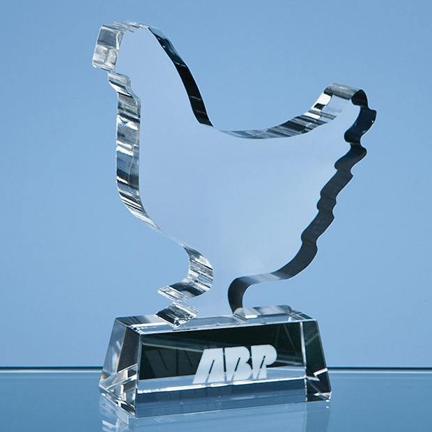 Bespoke Crystal Award BES2